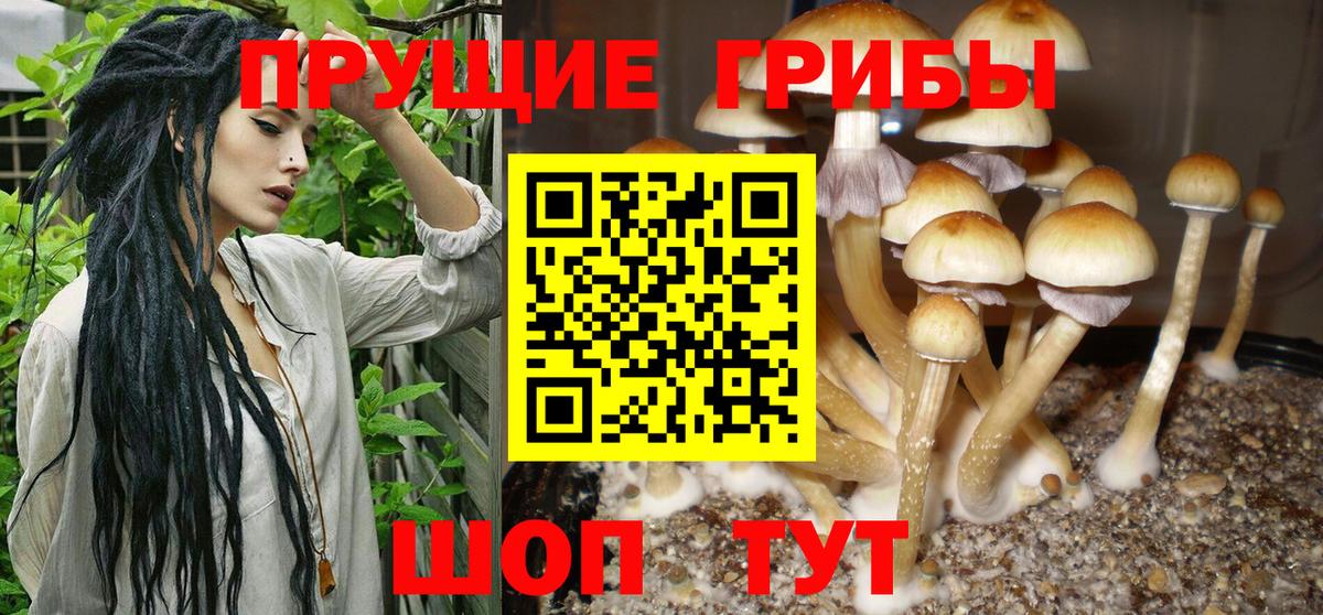 Горячий Ключ  Галлюциногенные грибы Psilocybine cubensis  Вход с VPN 