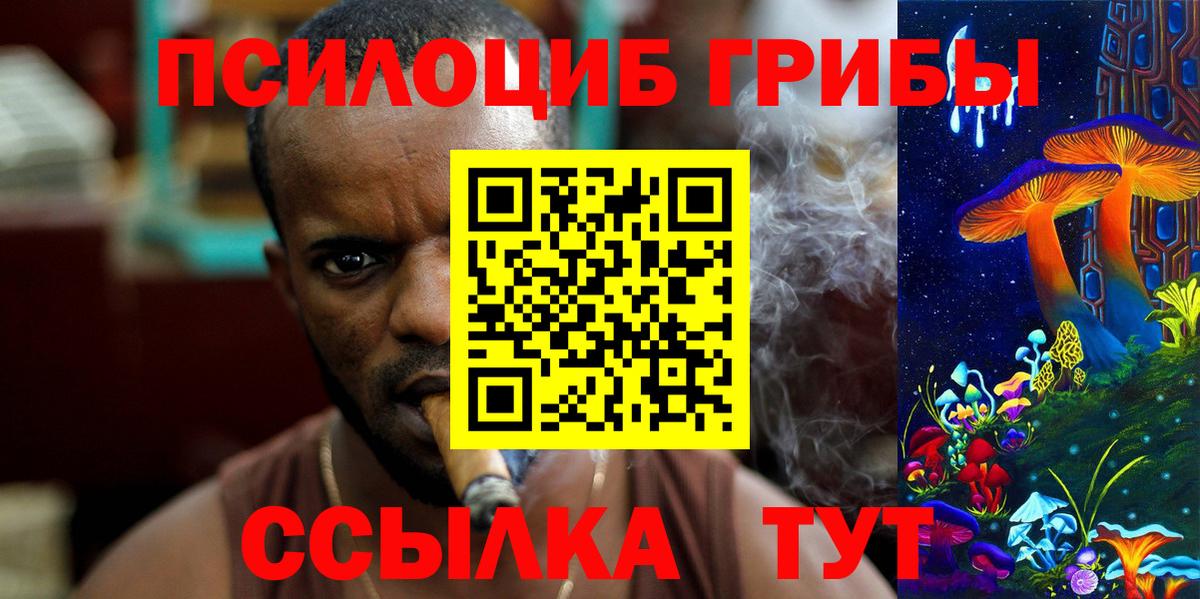 Псилоцибиновые грибы Psilocybine cubensis Горячий Ключ